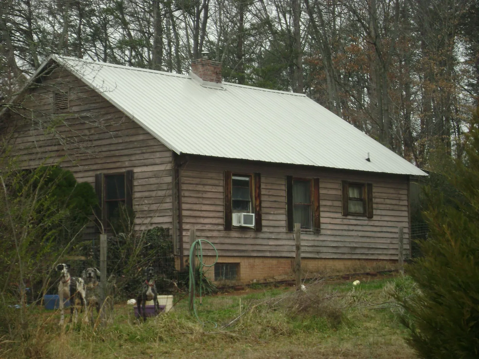 White metal roof on an old wood sided farmhouse, from a Asphalt Shingle Roof Repair job in Moravia